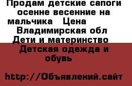 Продам детские сапоги осенне-весенние на мальчика › Цена ­ 1 500 - Владимирская обл. Дети и материнство » Детская одежда и обувь   